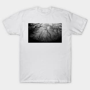 Southern Norway 2 T-Shirt